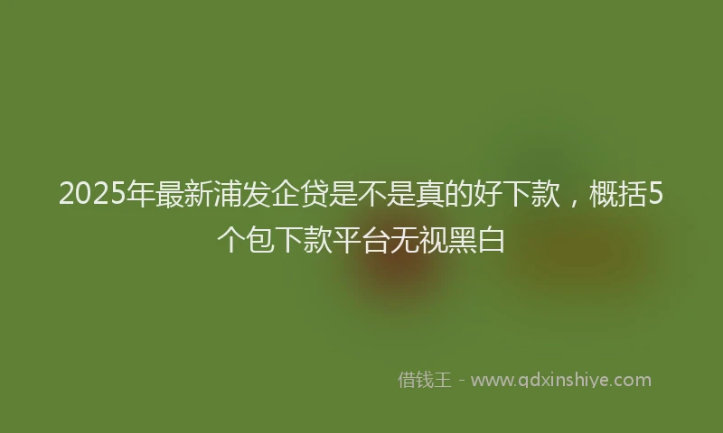 2025年最新浦发企贷是不是真的好下款，概括5个包下款平台无视黑白