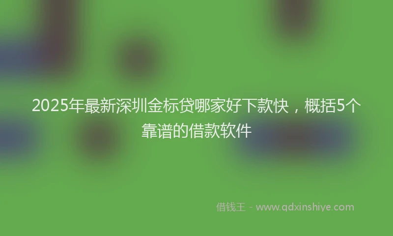 2025年最新深圳金标贷哪家好下款快，概括5个靠谱的借款软件