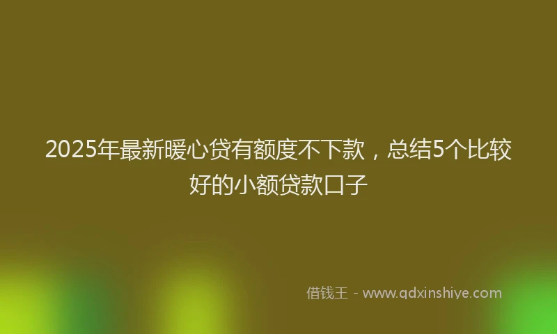 2025年最新暖心贷有额度不下款，总结5个比较好的小额贷款口子