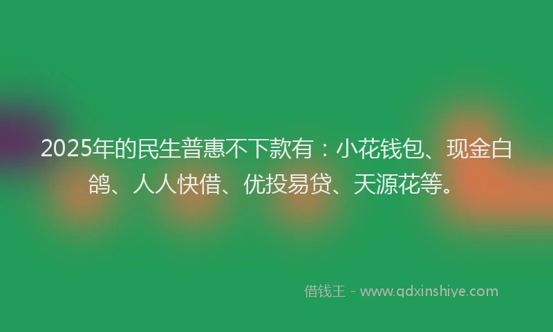 2025年的民生普惠不下款有：小花钱包、现金白鸽、人人快借、优投易贷、天源花等。
