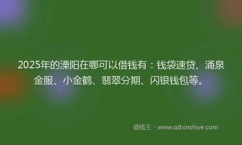 2025年的溧阳在哪可以借钱有：钱袋速贷、涌泉金服、小金鹤、翡翠分期、闪银钱包等。