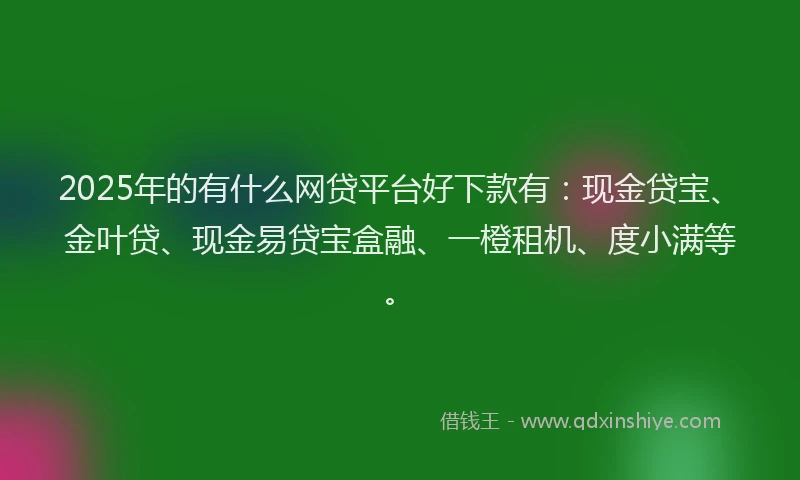 2025年的有什么网贷平台好下款有：现金贷宝、金叶贷、现金易贷宝盒融、一橙租机、度小满等。