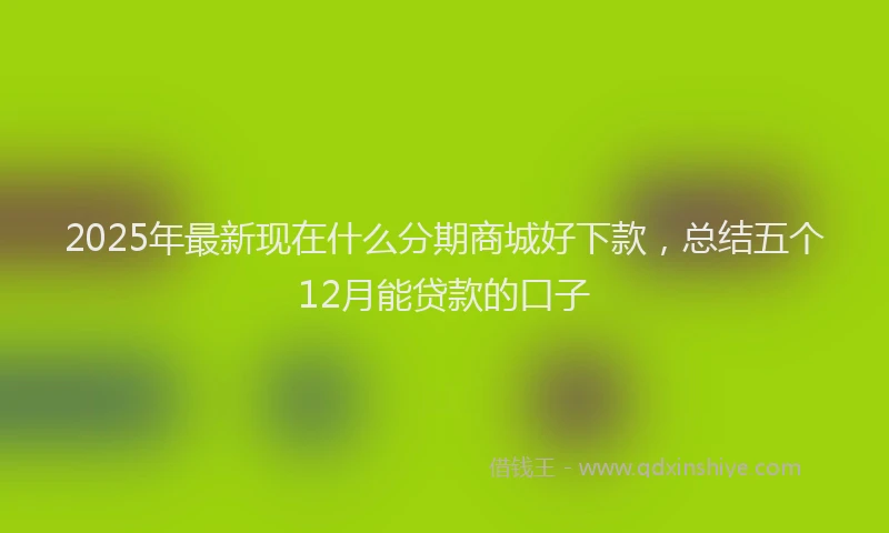 2025年最新现在什么分期商城好下款，总结五个12月能贷款的口子