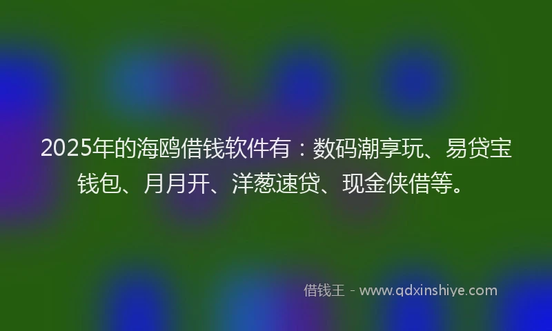 2025年的海鸥借钱软件有：数码潮享玩、易贷宝钱包、月月开、洋葱速贷、现金侠借等。