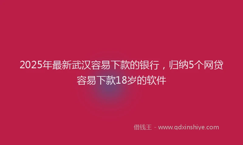 2025年最新武汉容易下款的银行，归纳5个网贷容易下款18岁的软件