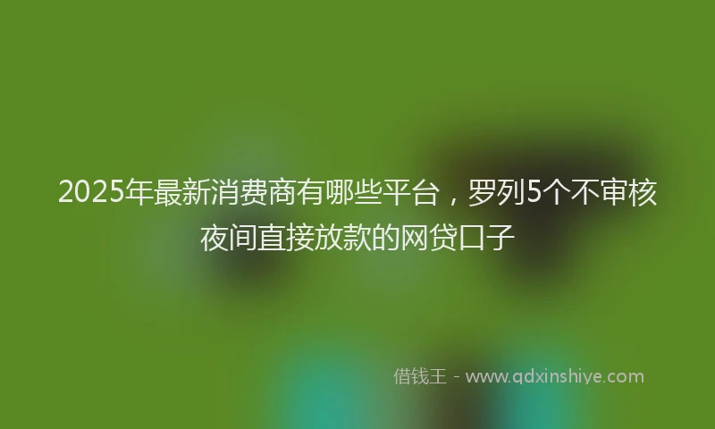 2025年最新消费商有哪些平台，罗列5个不审核夜间直接放款的网贷口子