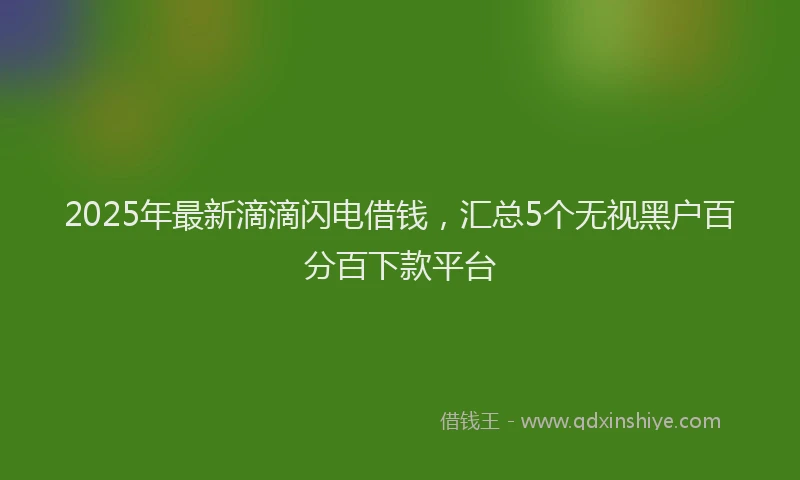 2025年最新滴滴闪电借钱，汇总5个无视黑户百分百下款平台