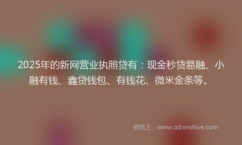 2025年的新网营业执照贷有：现金秒贷易融、小融有钱、鑫贷钱包、有钱花、微米金条等。