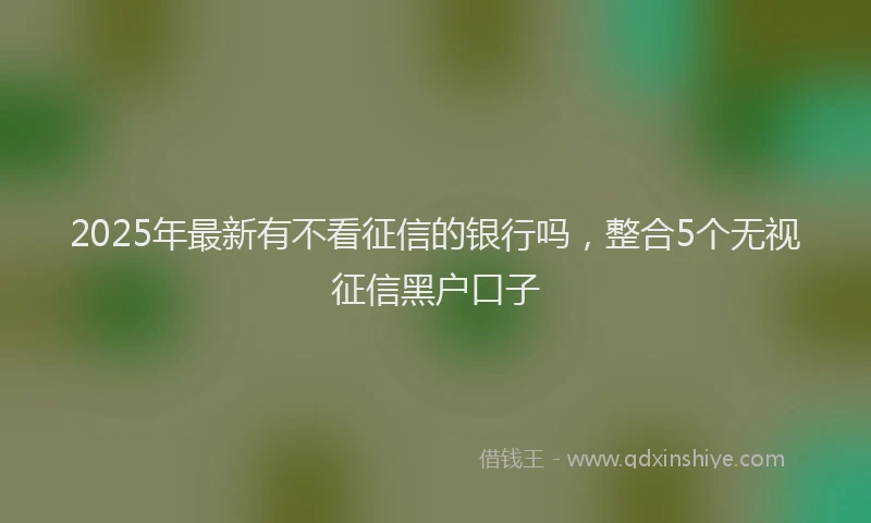 2025年最新有不看征信的银行吗，整合5个无视征信黑户口子