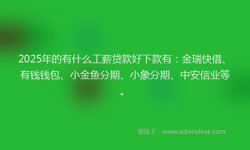 2025年的有什么工薪贷款好下款有：金瑞快借、有钱钱包、小金鱼分期、小象分期、中安信业等。