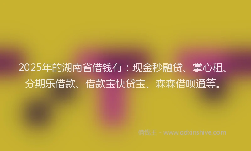 2025年的湖南省借钱有：现金秒融贷、掌心租、分期乐借款、借款宝快贷宝、森森借呗通等。