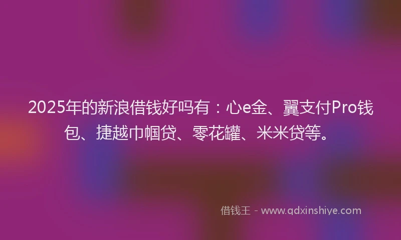 2025年的新浪借钱好吗有：心e金、翼支付Pro钱包、捷越巾帼贷、零花罐、米米贷等。