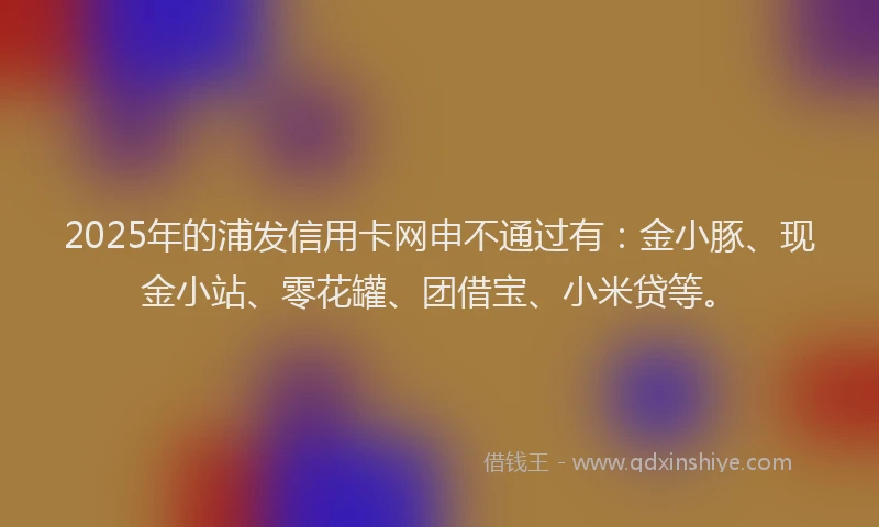 2025年的浦发信用卡网申不通过有：金小豚、现金小站、零花罐、团借宝、小米贷等。