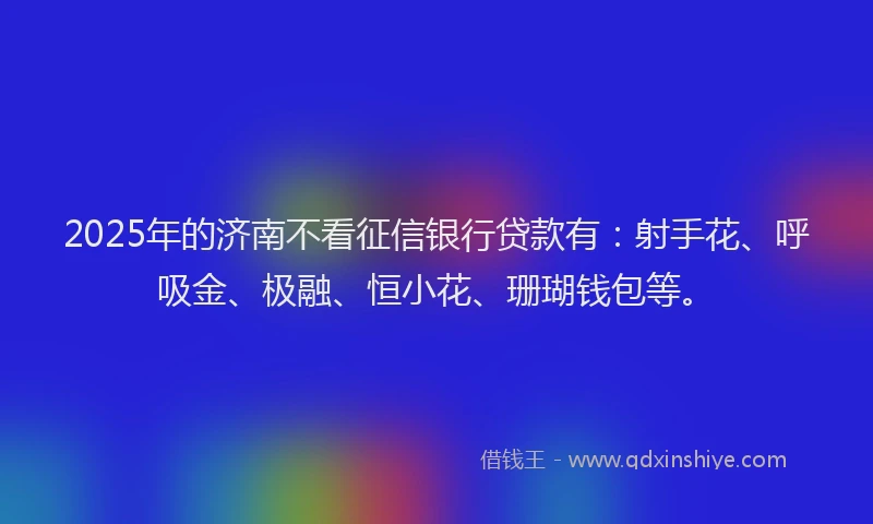 2025年的济南不看征信银行贷款有：射手花、呼吸金、极融、恒小花、珊瑚钱包等。