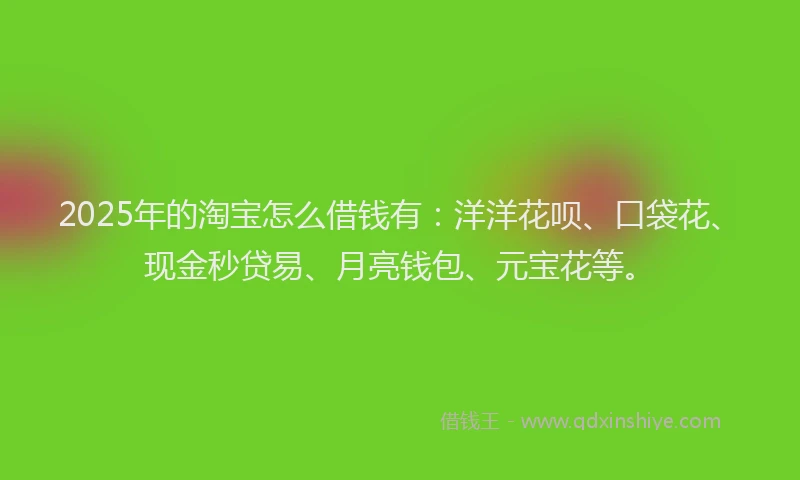 2025年的淘宝怎么借钱有：洋洋花呗、口袋花、现金秒贷易、月亮钱包、元宝花等。