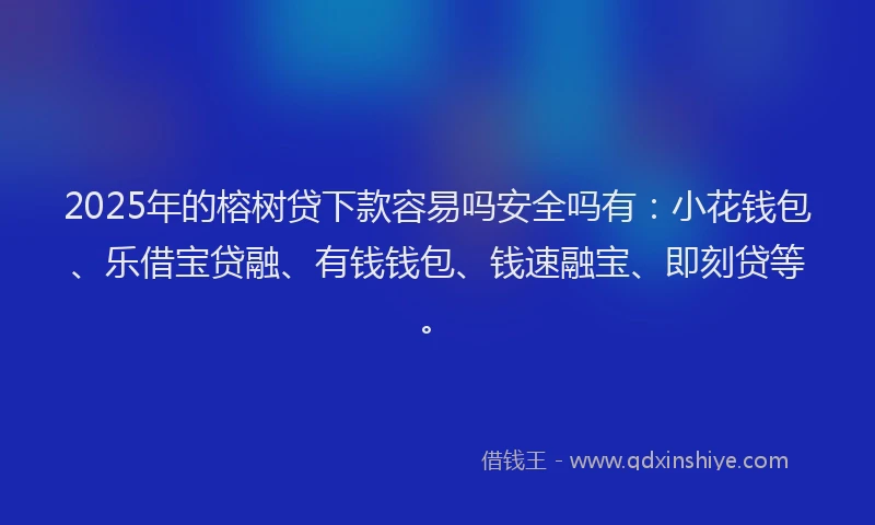 2025年的榕树贷下款容易吗安全吗有：小花钱包、乐借宝贷融、有钱钱包、钱速融宝、即刻贷等。