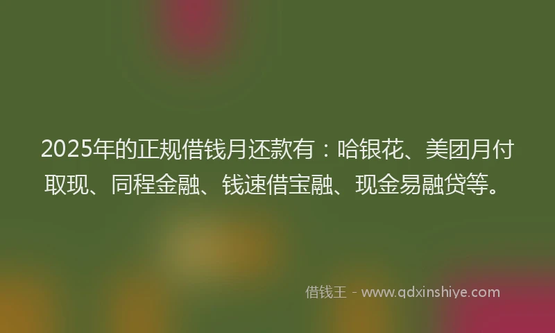 2025年的正规借钱月还款有：哈银花、美团月付取现、同程金融、钱速借宝融、现金易融贷等。