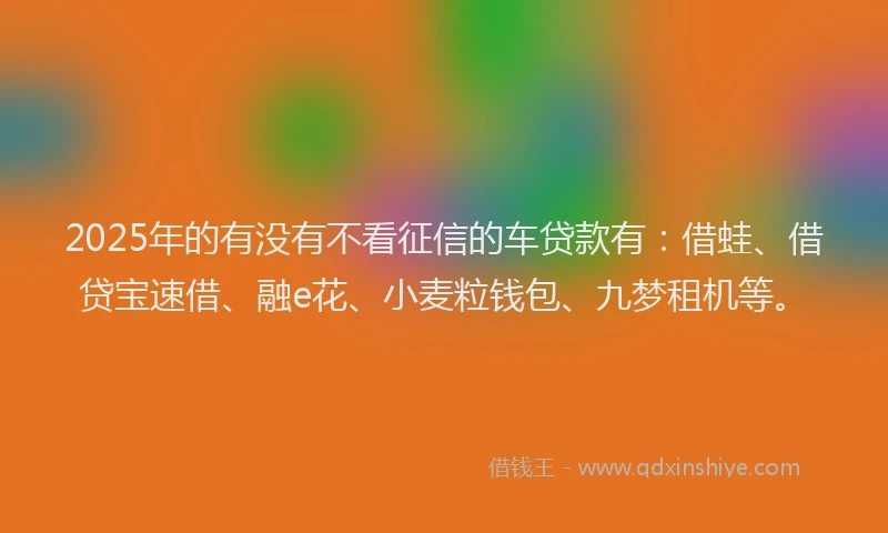 2025年的有没有不看征信的车贷款有：借蛙、借贷宝速借、融e花、小麦粒钱包、九梦租机等。