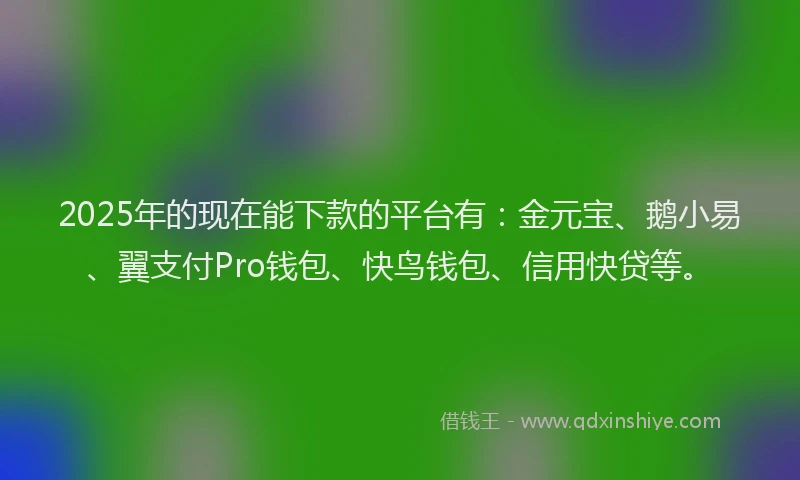 2025年的现在能下款的平台有：金元宝、鹅小易、翼支付Pro钱包、快鸟钱包、信用快贷等。