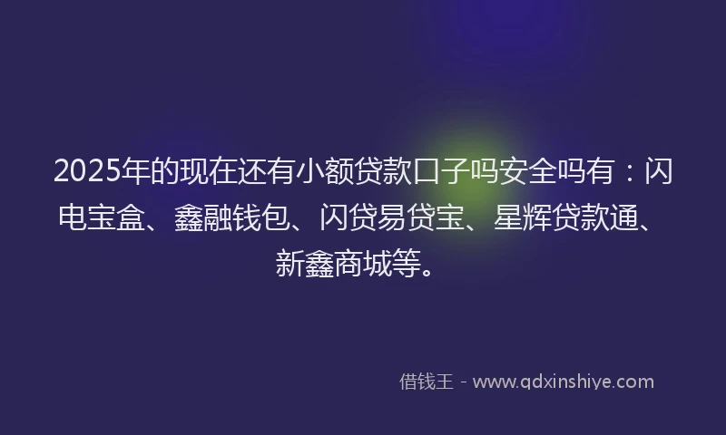 2025年的现在还有小额贷款口子吗安全吗有：闪电宝盒、鑫融钱包、闪贷易贷宝、星辉贷款通、新鑫商城等。