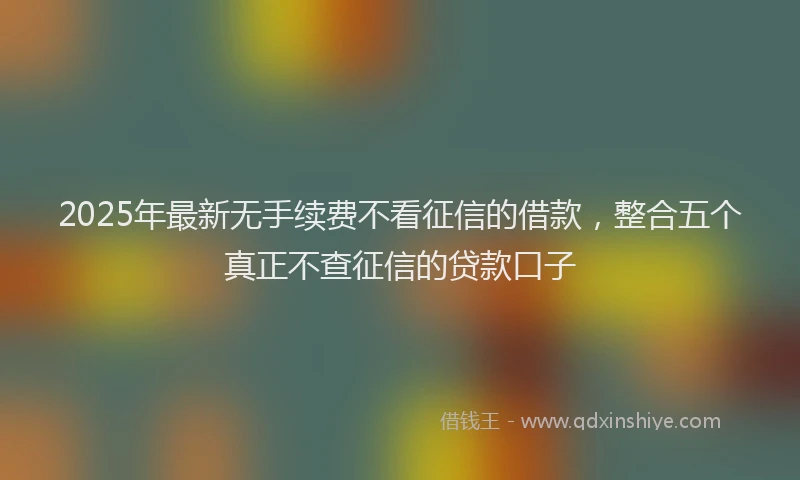 2025年最新无手续费不看征信的借款，整合五个真正不查征信的贷款口子
