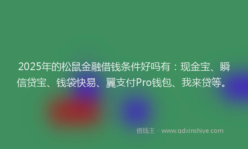2025年的松鼠金融借钱条件好吗有：现金宝、瞬信贷宝、钱袋快易、翼支付Pro钱包、我来贷等。