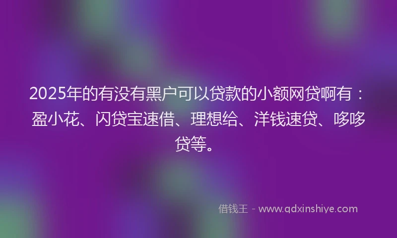 2025年的有没有黑户可以贷款的小额网贷啊有：盈小花、闪贷宝速借、理想给、洋钱速贷、哆哆贷等。