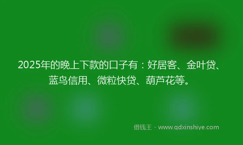 2025年的晚上下款的口子有：好居客、金叶贷、蓝鸟信用、微粒快贷、葫芦花等。