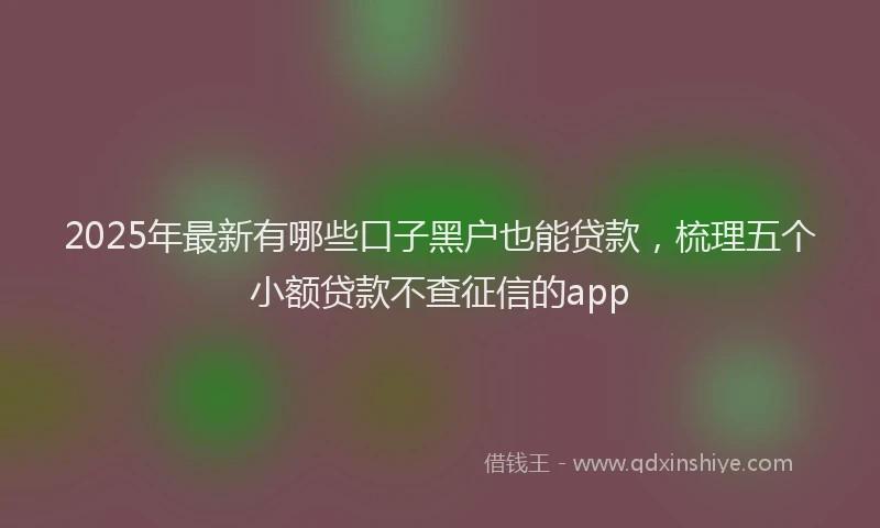 2025年最新有哪些口子黑户也能贷款，梳理五个小额贷款不查征信的app