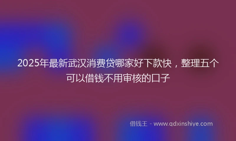 2025年最新武汉消费贷哪家好下款快，整理五个可以借钱不用审核的口子