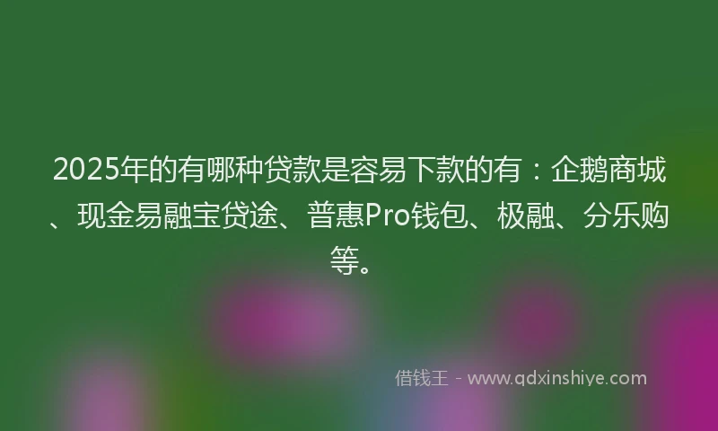 2025年的有哪种贷款是容易下款的有：企鹅商城、现金易融宝贷途、普惠Pro钱包、极融、分乐购等。