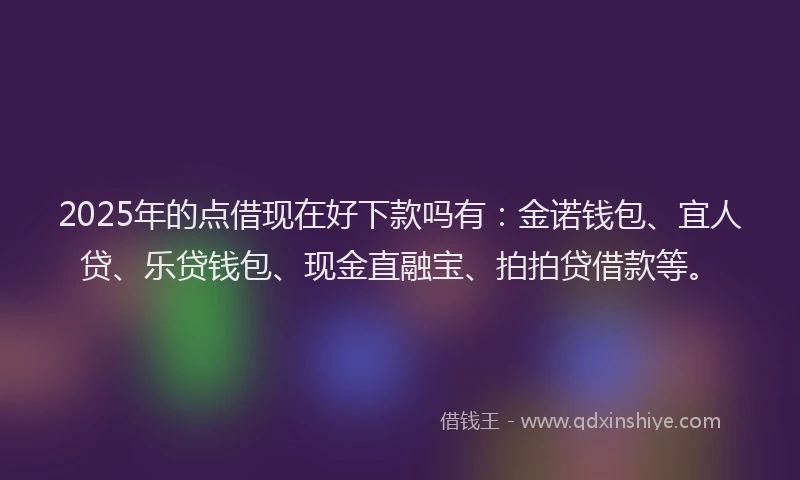 2025年的点借现在好下款吗有：金诺钱包、宜人贷、乐贷钱包、现金直融宝、拍拍贷借款等。