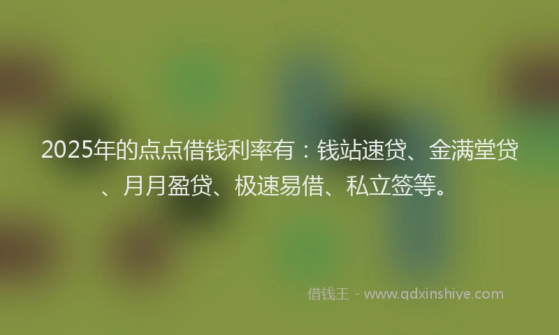 2025年的点点借钱利率有：钱站速贷、金满堂贷、月月盈贷、极速易借、私立签等。