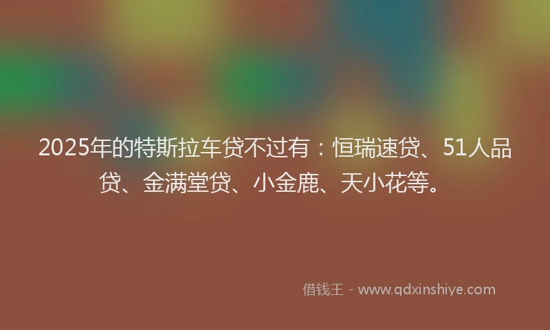 2025年的特斯拉车贷不过有：恒瑞速贷、51人品贷、金满堂贷、小金鹿、天小花等。