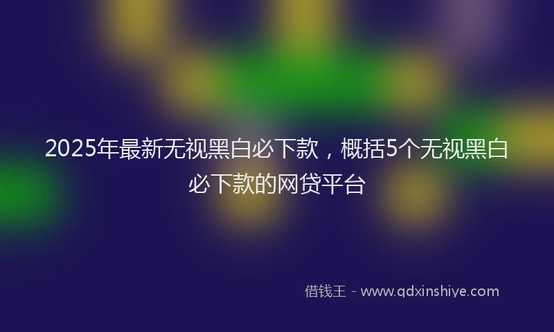 2025年最新无视黑白必下款，概括5个无视黑白必下款的网贷平台