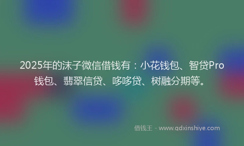 2025年的沫子微信借钱有：小花钱包、智贷Pro钱包、翡翠信贷、哆哆贷、树融分期等。