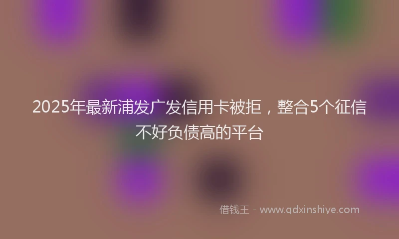 2025年最新浦发广发信用卡被拒，整合5个征信不好负债高的平台