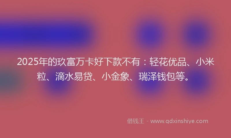 2025年的玖富万卡好下款不有：轻花优品、小米粒、滴水易贷、小金象、瑞泽钱包等。