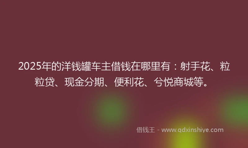 2025年的洋钱罐车主借钱在哪里有：射手花、粒粒贷、现金分期、便利花、兮悦商城等。