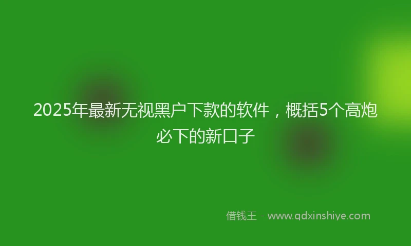 2025年最新无视黑户下款的软件，概括5个高炮必下的新口子
