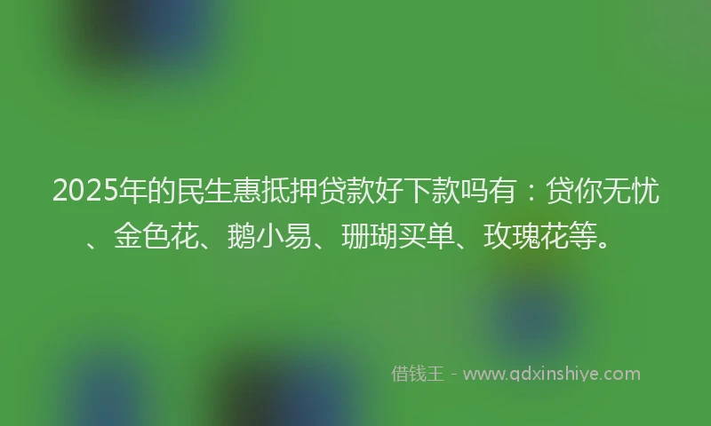 2025年的民生惠抵押贷款好下款吗有：贷你无忧、金色花、鹅小易、珊瑚买单、玫瑰花等。