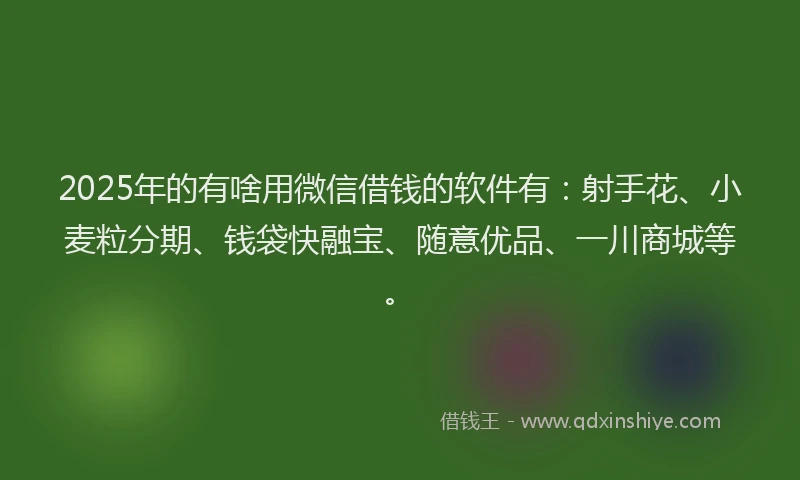 2025年的有啥用微信借钱的软件有：射手花、小麦粒分期、钱袋快融宝、随意优品、一川商城等。