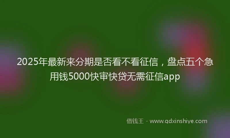 2025年最新来分期是否看不看征信，盘点五个急用钱5000快审快贷无需征信app