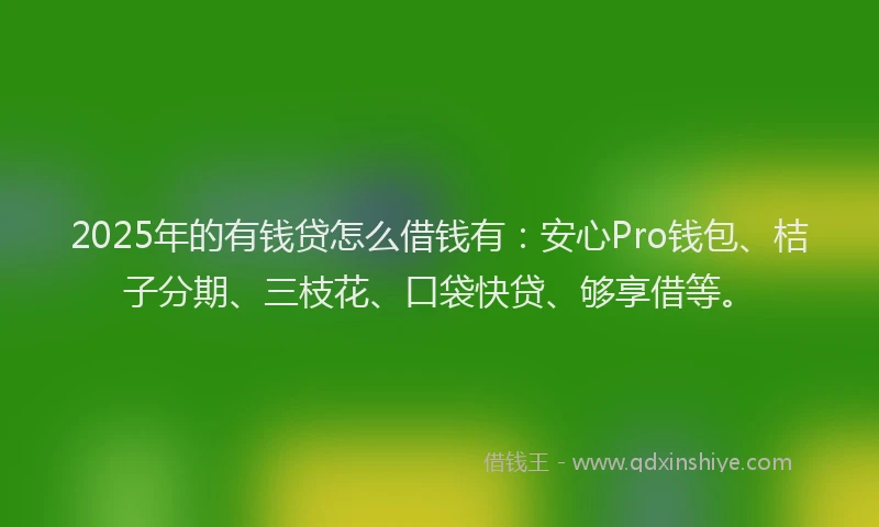 2025年的有钱贷怎么借钱有：安心Pro钱包、桔子分期、三枝花、口袋快贷、够享借等。