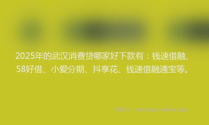 2025年的武汉消费贷哪家好下款有：钱速借融、58好借、小爱分期、抖享花、钱速借融通宝等。