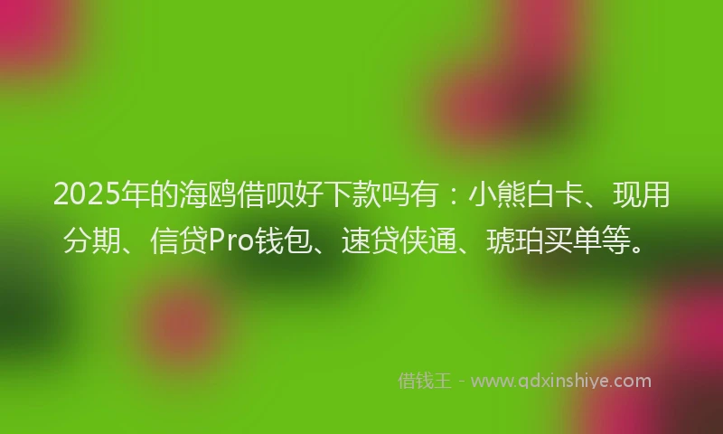 2025年的海鸥借呗好下款吗有：小熊白卡、现用分期、信贷Pro钱包、速贷侠通、琥珀买单等。