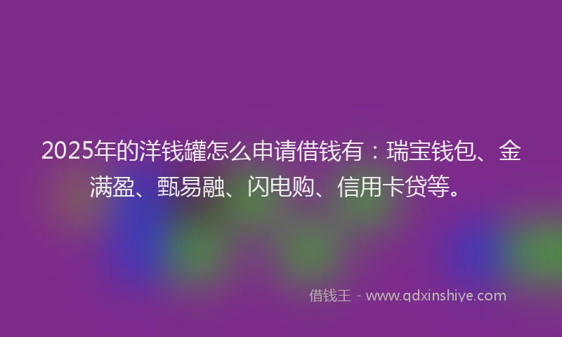 2025年的洋钱罐怎么申请借钱有：瑞宝钱包、金满盈、甄易融、闪电购、信用卡贷等。