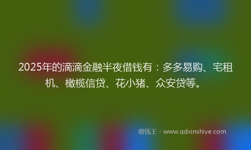 2025年的滴滴金融半夜借钱有：多多易购、宅租机、橄榄信贷、花小猪、众安贷等。