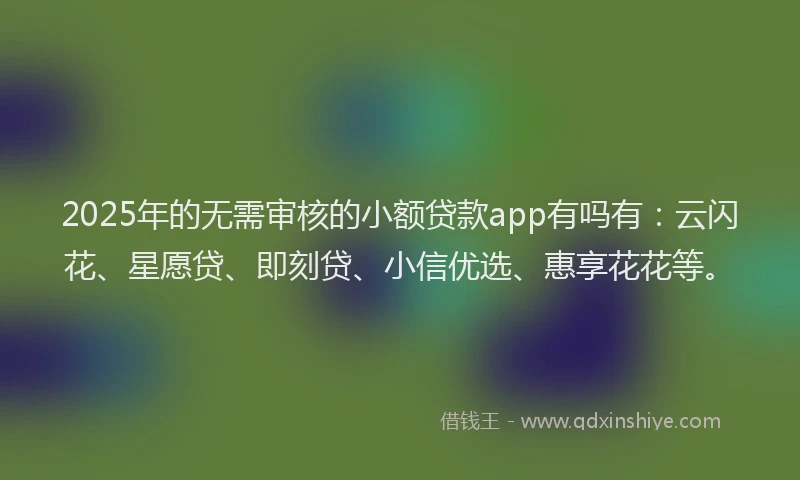 2025年的无需审核的小额贷款app有吗有：云闪花、星愿贷、即刻贷、小信优选、惠享花花等。