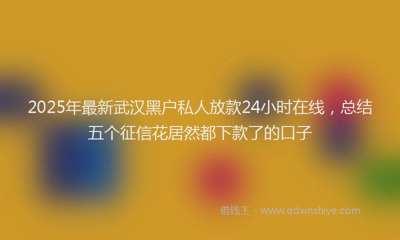 2025年最新武汉黑户私人放款24小时在线，总结五个征信花居然都下款了的口子